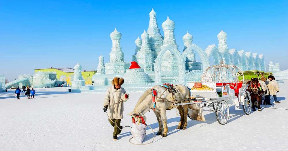 Обучение в Харбине. Университеты Харбин.