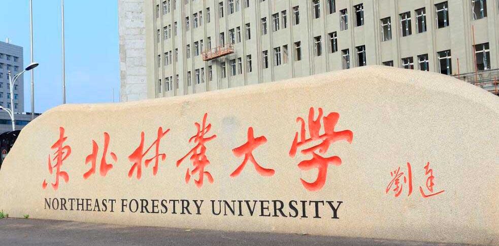 Northeast Forestry University