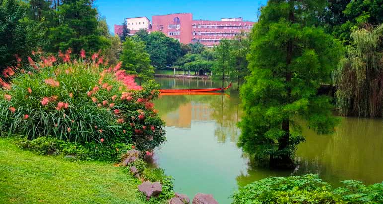 Studying at the university is not limited to lectures