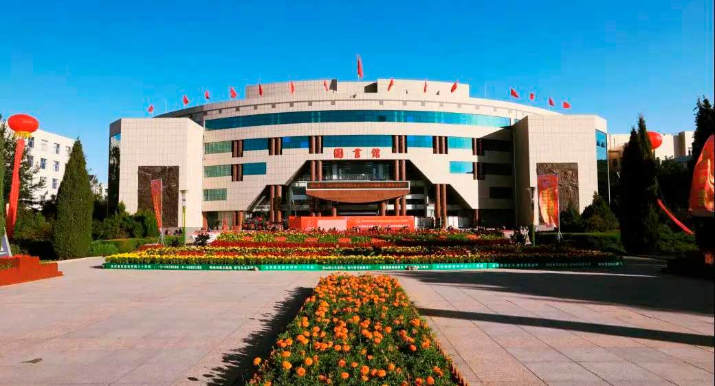 Юлинский университет (Yulin University)