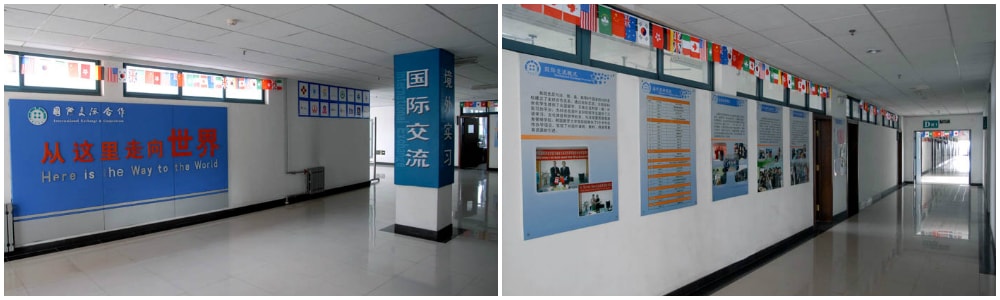 zibo institute
